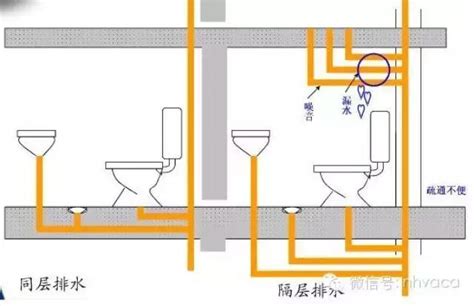 排水管式魚骨結構